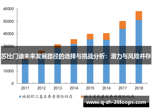 苏比门迪未来发展路径的选择与挑战分析：潜力与风险并存